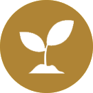 Free Of Processing to Maintain Nutritional Values
